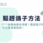 如何驅趕鴿子？趕鴿子PTT推薦神器有用嗎？驅趕鴿子的方法看這篇就夠！